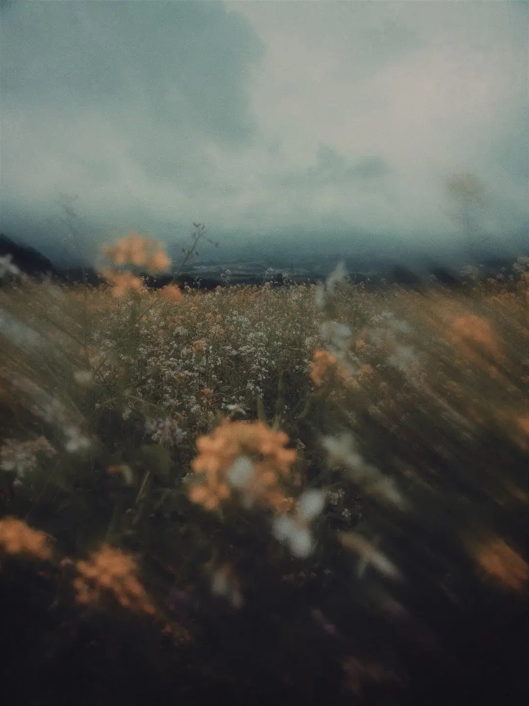 Quietly, into color